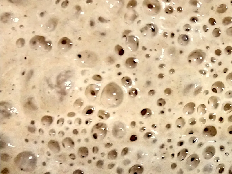 Prirodno kiselo testo