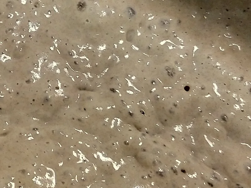 Fermentacija i kiselost testa